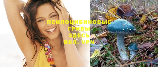 тгк Абинск